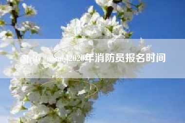 新野2020年消防员报名时间
