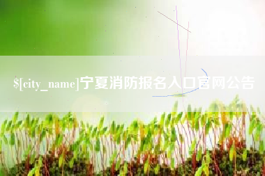 新野宁夏消防报名入口官网公告