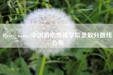 新野中国消防救援学院录取分数线公布