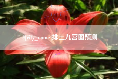 新野排三九宫图预测