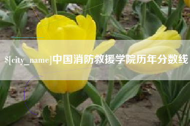 新野中国消防救援学院历年分数线