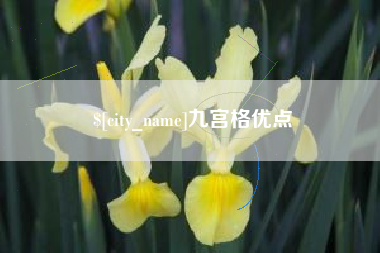新野九宫格优点