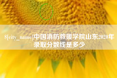 新野中国消防救援学院山东2020年录取分数线是多少