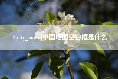 新野中国地图空白框是什么