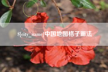 新野中国地图格子画法