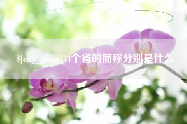 新野34个省的简称分别是什么