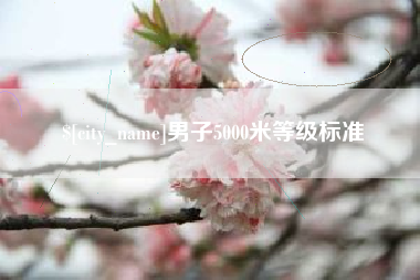 新野男子5000米等级标准