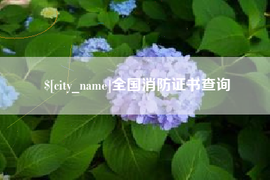 新野全国消防证书查询