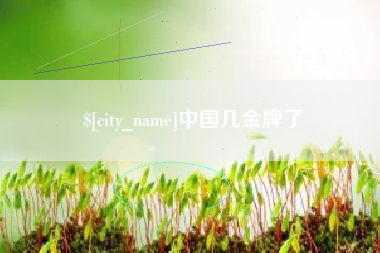 新野中国几金牌了