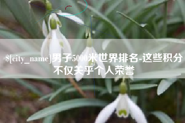 新野男子5000米世界排名-这些积分不仅关乎个人荣誉