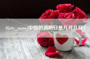 新野中国的消防日是几月几日？