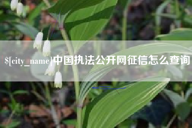 新野中国执法公开网征信怎么查询
