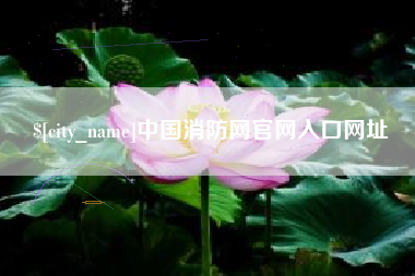 新野中国消防网官网入口网址