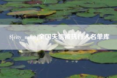 新野全国失信被执行人名单库