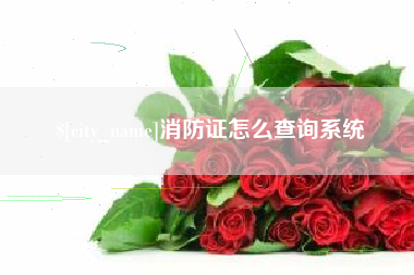 新野消防证怎么查询系统