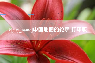 新野中国地图的轮廓 打印版