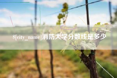 新野消防大学分数线是多少