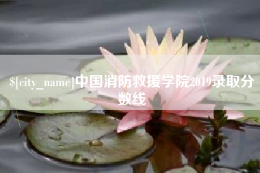 新野中国消防救援学院2019录取分数线