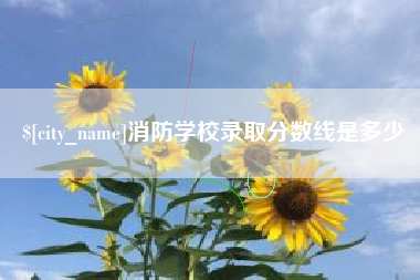 新野消防学校录取分数线是多少