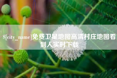 新野免费卫星地图高清村庄地图看到人实时下载