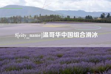新野温哥华中国组合滑冰