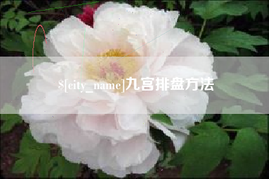 新野九宫排盘方法