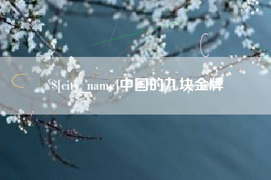 新野中国的九块金牌