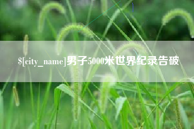 新野男子5000米世界纪录告破