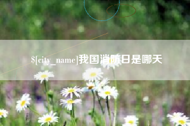 新野我国消防日是哪天