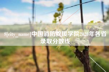 新野中国消防救援学院2020年各省录取分数线