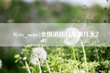 新野全国消防日是第几天？