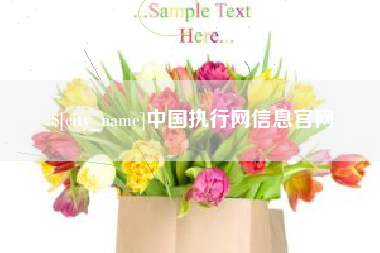 新野中国执行网信息官网