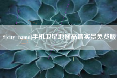 新野手机卫星地图高清实景免费版