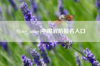 新野中国消防报名入口