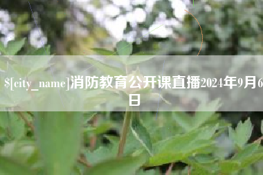 新野消防教育公开课直播2024年9月6日