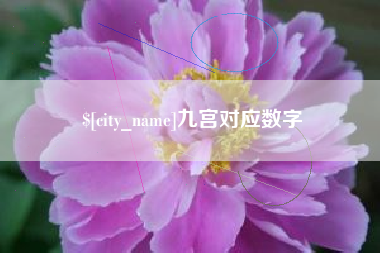新野九宫对应数字