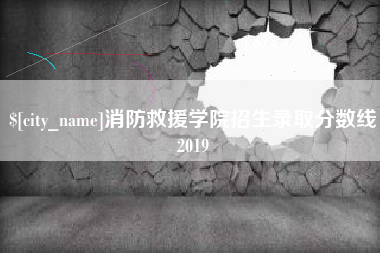 新野消防救援学院招生录取分数线2019