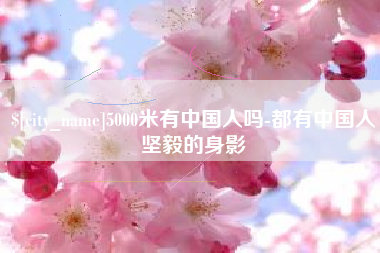 新野5000米有中国人吗-都有中国人坚毅的身影