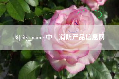 新野中囯消防产品信息网