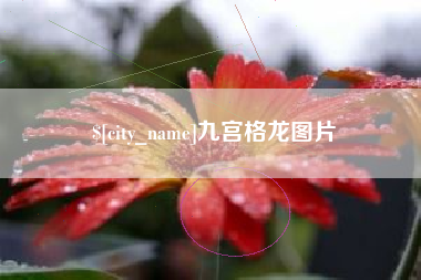 新野九宫格龙图片