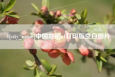 新野中国地图a4打印版空白图片