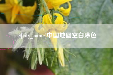 新野中国地图空白涂色