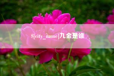 新野九金是谁