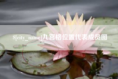 新野九宫格位置代表成员图
