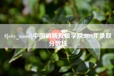 新野中国消防救援学院2019年录取分数线