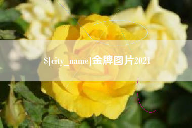 新野金牌图片2021