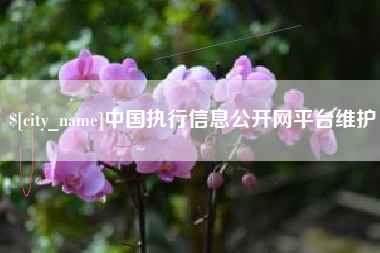 新野中国执行信息公开网平台维护