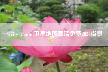 新野卫星地图高清免费2024街景