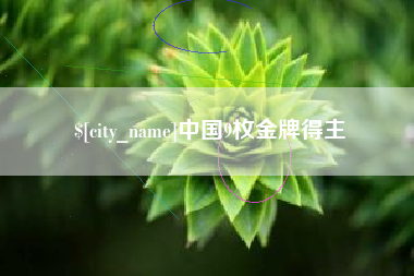 新野中国9枚金牌得主