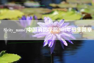 新野中国消防学院2024年招生简章